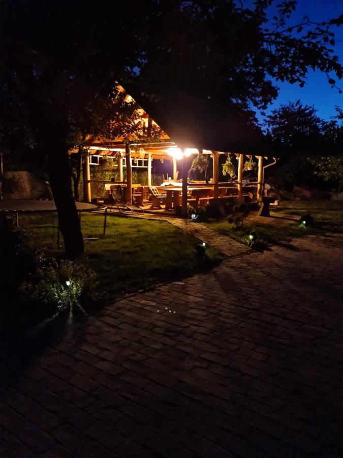 Opg Dijana Apartment Kopacevo Luaran gambar
